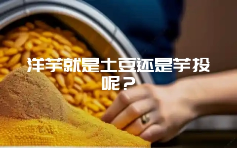 洋芋就是土豆还是芋头呢?-会东网