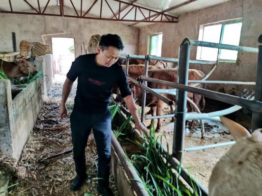 会东人均gdp(会东县人均年收入)?-会东网