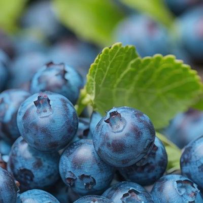 四川凉山会东县图片?插图6 四川凉山会东县图片?插图6