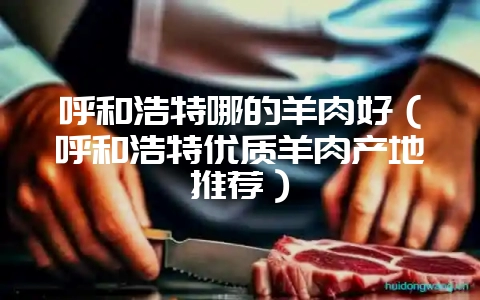 呼和浩特哪的羊肉好（呼和浩特优质羊肉产地推荐）-会东网
