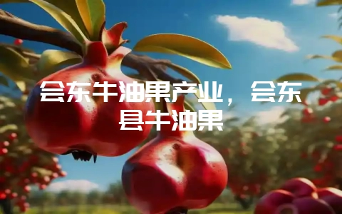 会东牛油果产业，会东县牛油果-会东网