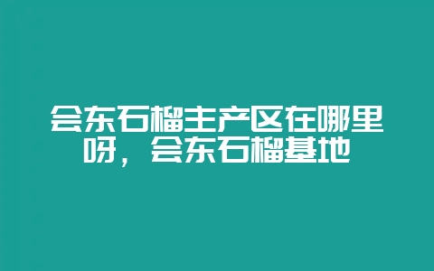 会东石榴主产区在哪里呀,会东石榴基地插图 会东石榴主产区在哪里呀,会东石榴基地插图