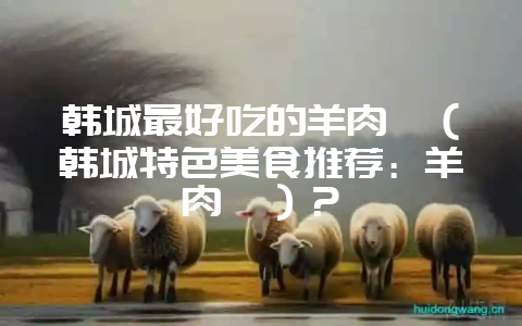 韩城最好吃的羊肉痧（韩城特色美食推荐：羊肉痧）？-会东网