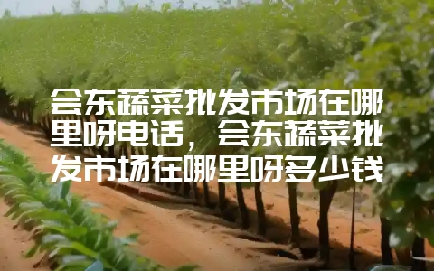 会东蔬菜批发市场在哪里呀电话，会东蔬菜批发市场在哪里呀多少钱-会东网
