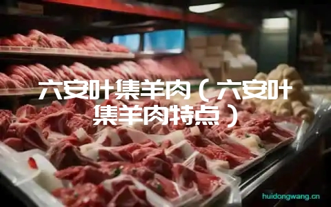 六安叶集羊肉（六安叶集羊肉特点）-会东网