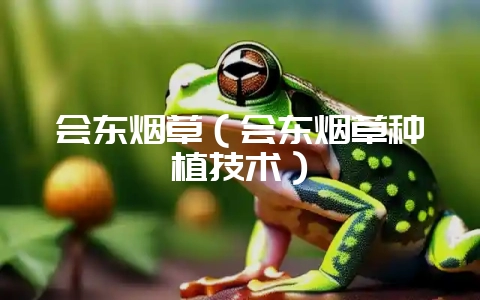 会东烟草（会东烟草种植技术）-会东网