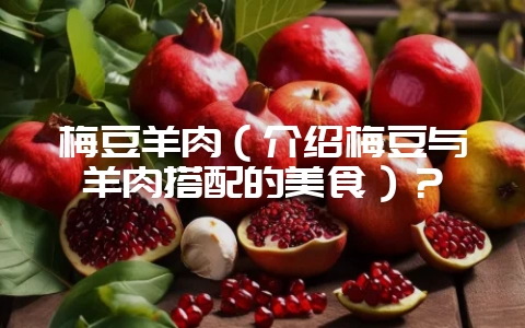 梅豆羊肉（介绍梅豆与羊肉搭配的美食）？-会东网