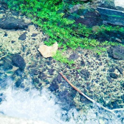 四川凉山会东县海拔多高？-会东网