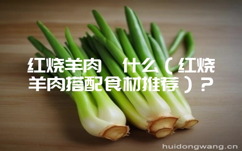 红烧羊肉炖什么（红烧羊肉搭配食材推荐）？-会东网