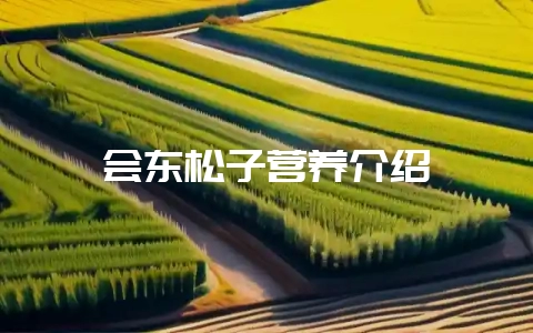 会东松子营养介绍-会东网
