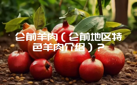 仑前羊肉（仑前地区特色羊肉介绍）？-会东网