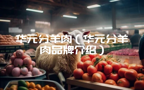 华元分羊肉（华元分羊肉品牌介绍）-会东网