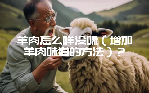 羊肉怎么样没味(增加羊肉味道的方法)?插图 羊肉怎么样没味(增加羊肉味道的方法)?插图