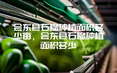 会东县石榴种植面积多少亩,会东县石榴种植面积多少插图 会东县石榴种植面积多少亩,会东县石榴种植面积多少插图