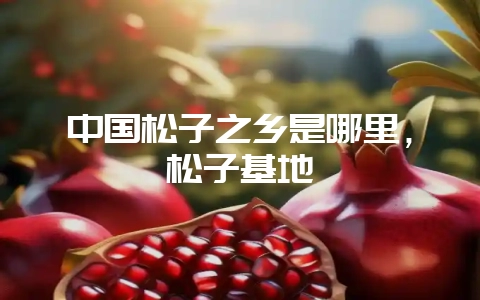 中国松子之乡是哪里，松子基地-会东网