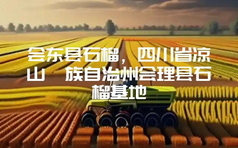 会东县石榴，四川省凉山彝族自治州会理县石榴基地-会东网