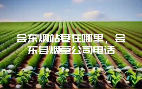 会东烟站巷在哪里，会东县烟草公司电话-会东网