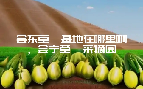 会东草莓基地在哪里啊，会宁草莓采摘园-会东网