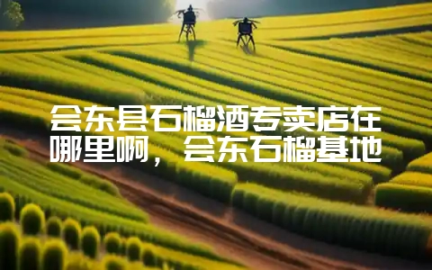 会东县石榴酒专卖店在哪里啊，会东石榴基地-会东网