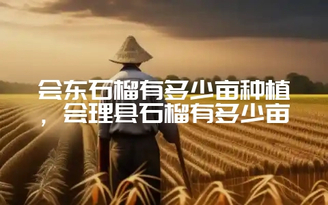会东石榴有多少亩种植,会理县石榴有多少亩插图 会东石榴有多少亩种植,会理县石榴有多少亩插图