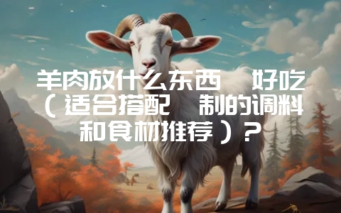 羊肉放什么东西炖好吃（适合搭配炖制的调料和食材推荐）？-会东网