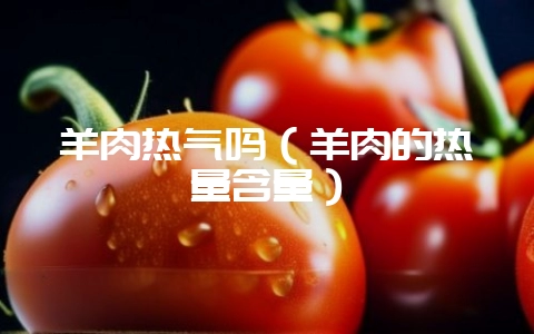 羊肉热气吗（羊肉的热量含量）-会东网