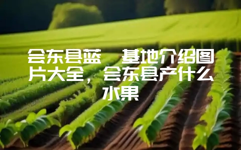 会东县蓝莓基地介绍图片大全，会东县产什么水果-会东网