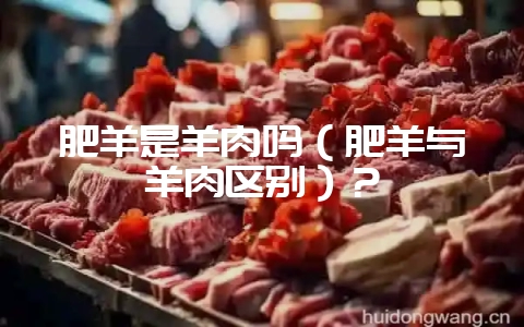 肥羊是羊肉吗（肥羊与羊肉区别）？-会东网