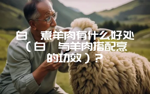 白芷煮羊肉有什么好处(白芷与羊肉搭配烹饪的功效)?插图 白芷煮羊肉有什么好处(白芷与羊肉搭配烹饪的功效)?插图
