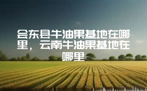 会东县牛油果基地在哪里，云南牛油果基地在哪里-会东网