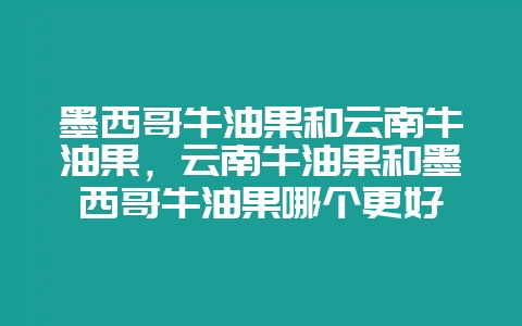 墨西哥牛油果和云南牛油果，云南牛油果和墨西哥牛油果哪个更好-会东网