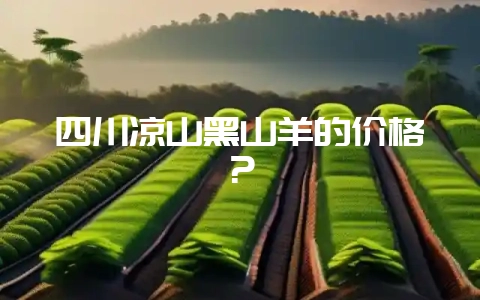 四川凉山黑山羊的价格?-会东网