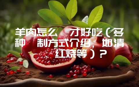 羊肉怎么炖才好吃（多种炖制方式介绍，如清炖、红烧等）？-会东网