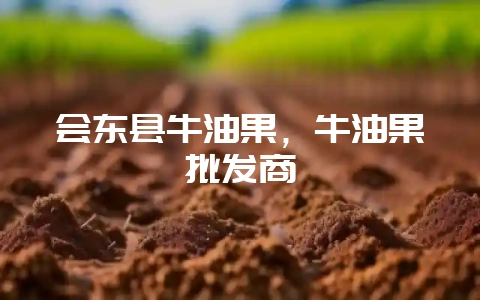 会东县牛油果，牛油果批发商-会东网