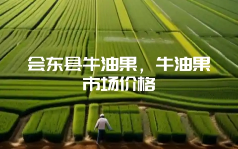 会东县牛油果，牛油果市场价格-会东网