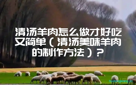 清汤羊肉怎么做才好吃又简单（清汤美味羊肉的制作方法）？-会东网