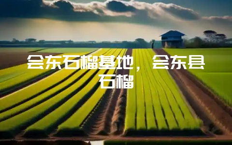 会东石榴基地，会东县石榴-会东网