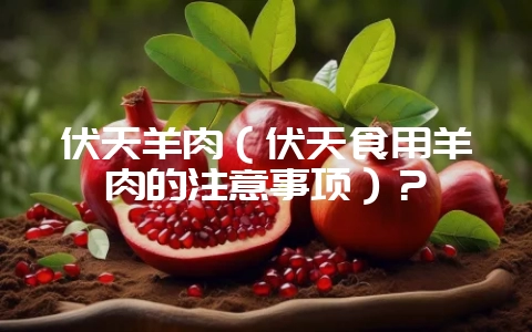 伏天羊肉（伏天食用羊肉的注意事项）？-会东网