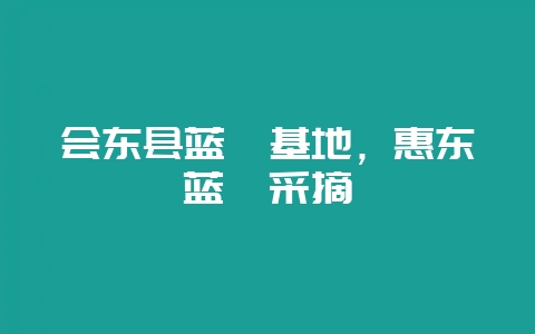 会东县蓝莓基地，惠东蓝莓采摘-会东网