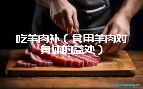 吃羊肉补（食用羊肉对身体的益处）-会东网