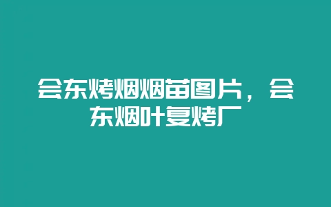 会东烤烟烟苗图片，会东烟叶复烤厂-会东网