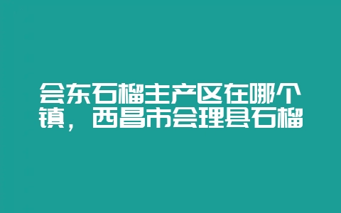 会东石榴主产区在哪个镇，西昌市会理县石榴-会东网