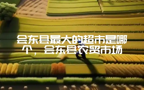 会东县最大的超市是哪个，会东县农贸市场-会东网