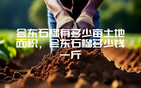 会东石榴有多少亩土地面积，会东石榴多少钱一斤-会东网