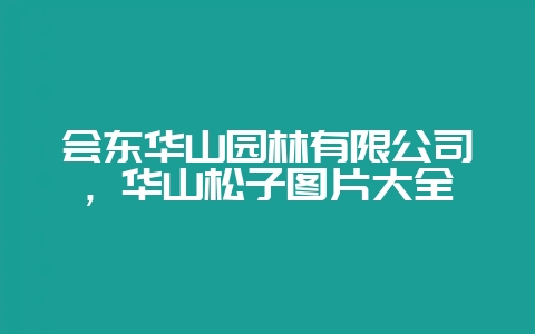 会东华山园林有限公司，华山松子图片大全-会东网