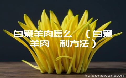 白煮羊肉怎么炖（白煮羊肉炖制方法）-会东网