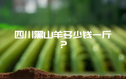 四川黑山羊多少钱一斤?-会东网