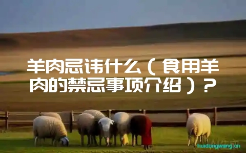 羊肉忌讳什么（食用羊肉的禁忌事项介绍）？-会东网