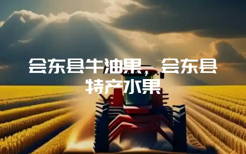 会东县牛油果，会东县特产水果-会东网