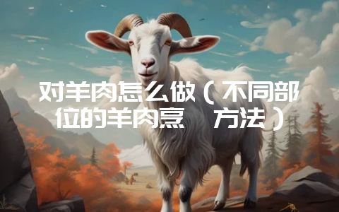 对羊肉怎么做（不同部位的羊肉烹饪方法）-会东网
